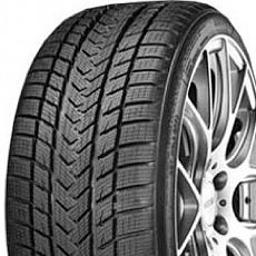 Gripmax Pro Winter 285/35 R 21 105V